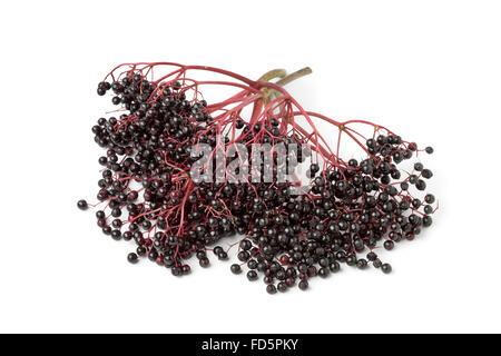 Branch with fresh Elderberries on white background Stock Photo