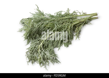 Fresh absinthe wormwood on white background Stock Photo