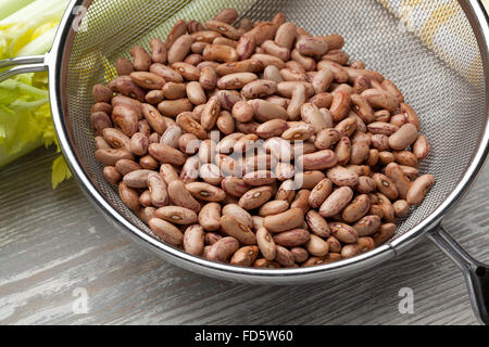 Dried Borlotti beans  in a sieve ready to wash Stock Photo