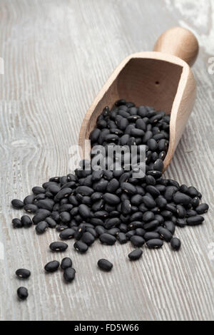 Dried black turtle beans on a wooden shovel Stock Photo