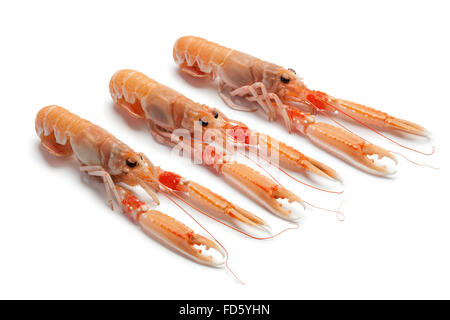 Fresh raw langoustines on white background Stock Photo