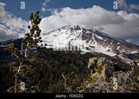 CALIFORNIA - Mount Shasta viewed from Gray Butte at the southern end of the Cascade Range in the Shasta-Trinity National Forest. Stock Photo