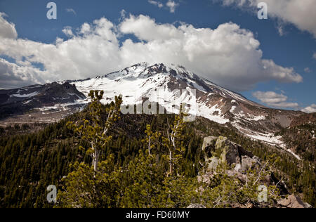 CALIFORNIA - Mount Shasta viewed from Gray Butte at the southern end of the Cascade Range in the Shasta-Trinity National Forest. Stock Photo