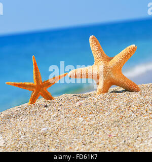 Starfishes on the beach sand against a blue sea Stock Photo