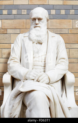 Charles Darwin white marble statue in Natural History Museum in London Stock Photo