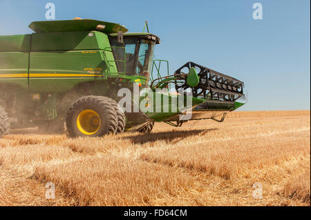 Harvester Combines Cut Summer Wheat Harvest in The Palouse in Eastern Washington Stock Photo