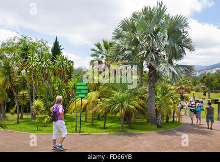 FUNCHAL, PORTUGAL - JUNE 18, 2013: People walking on the Tropical Botanical Garden in Funchal city, Madeira island, Portugal Stock Photo