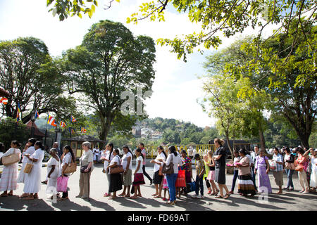 People queuing up to enter the Temple of the Sacred Tooth, Kandy Sri Lanka Stock Photo