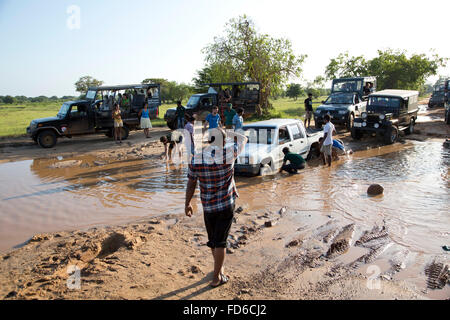 Safari 4x4 stuck in mud inside Yala National Park Stock Photo