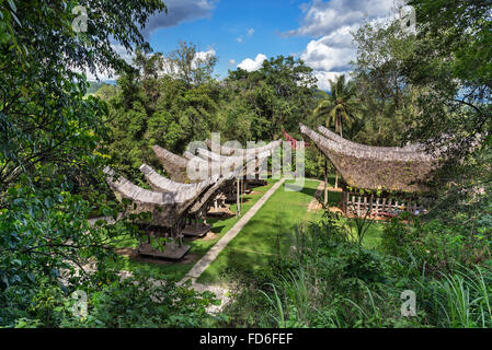 View of Tongkonan traditional old houses in  Buntu Pune village. Tana Toraja, Sulawesi. Indonesia Stock Photo