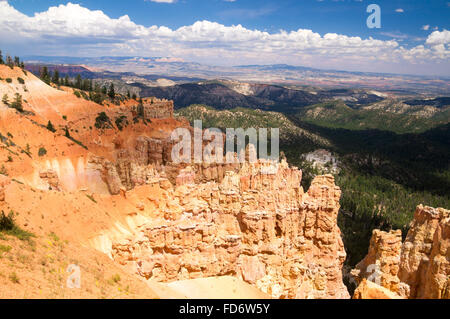 Landscape of Bryce Canyon National Park in Summer Stock Photo