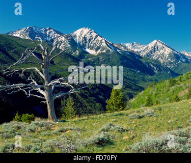 spanish peaks of the madison range above south fork spanish creek valley in the lee metcalf wilderness near big sky, montana Stock Photo