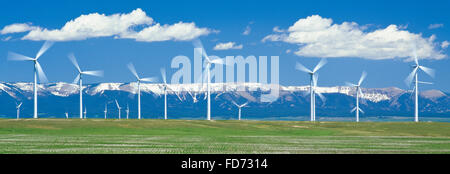 panorama of windmills and the big snowy mountains near judith gap, montana Stock Photo