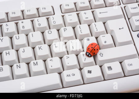 Ladybird / ladybug on PC keyboard - as a visual metaphor for the concept of 'computer bug' or viral / system 'infection'. Stock Photo