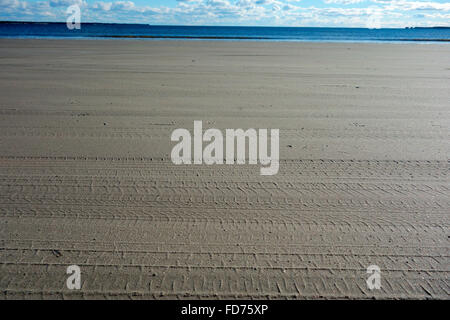 Tire marks on the sand of a beach made by a vehicle Stock Photo