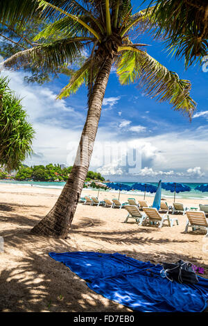 Relaxing in the shade under palm tree at Kata Beach, Phuket, Thailand. Stock Photo
