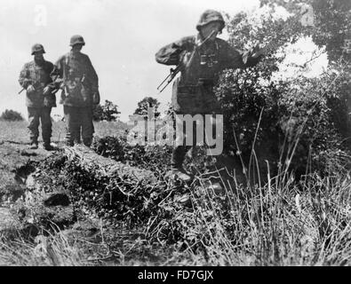 Soldiers of the Waffen SS in Normandy, 1944 Stock Photo