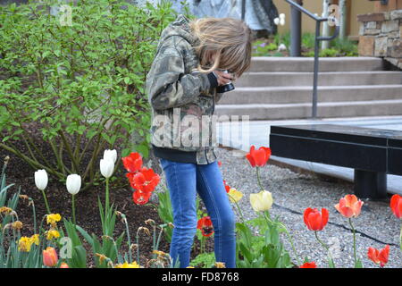 Young girl taking photographs in a garden of beautiful flowers. Stock Photo