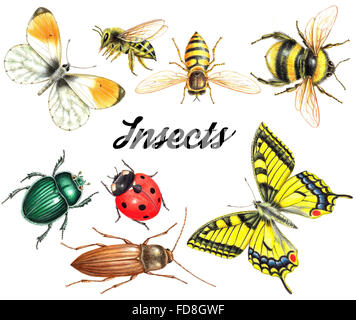 Collection Watercolor bees isolated on white background. hand drawn ...