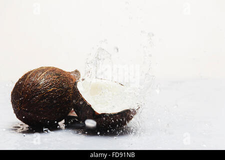 Coconut Fruits water Splash Nobody Stock Photo