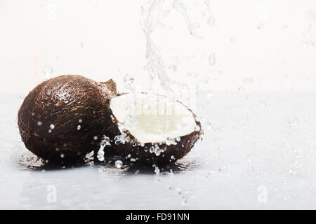 Coconut Fruits water Splash Nobody Stock Photo
