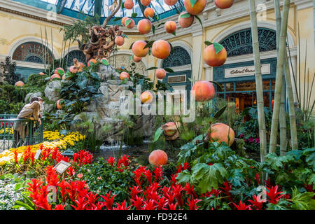 Garden and fountain with display of peaches in the greenhouse at the Bellagio. Las Vegas, Nevada, USA Stock Photo