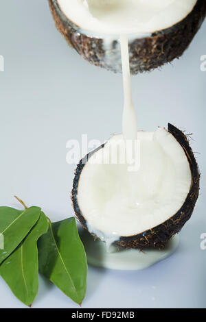 Coconut Fruits milk Pouring Nobody Stock Photo