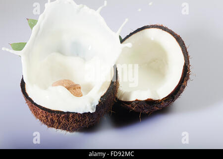 Coconut Fruits milk Splash Nobody Stock Photo