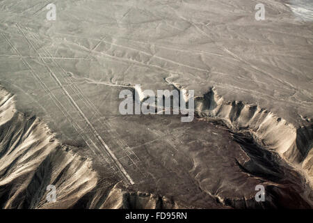 Humming Bird and Trapezoids. Nazca Desert. Stock Photo