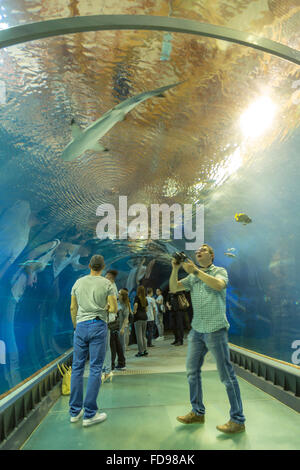 Wroclaw, Poland, Aquarium of the bottom of the Afrykarium in Wroclaw Zoo Stock Photo