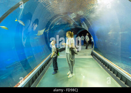 Wroclaw, Poland, Aquarium of the bottom of the Afrykarium in Wroclaw Zoo Stock Photo