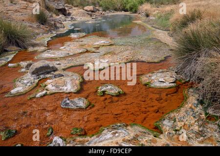 Thermal river, fed with boiling water from hot springs, with colourful growths of blue-green algae, Polychnitos, Lesbos. Stock Photo