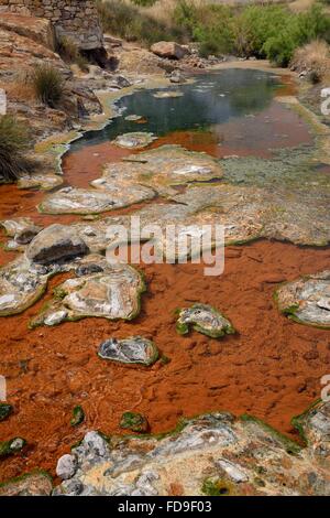 Thermal river, fed with boiling water from hot springs, with colourful growths of blue-green algae, Polychnitos, Lesbos, Greece. Stock Photo