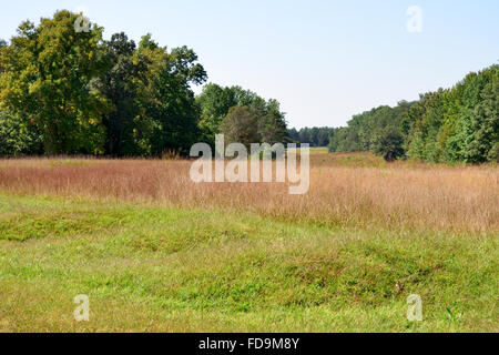 Union Artillery Positions at Chancellorsville Stock Photo