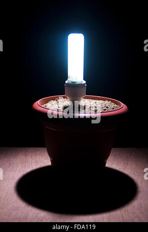 Pot plant Bulb CFL Light Nobody Stock Photo