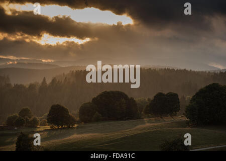 Lenzkirch, Germany, Berg Langschaft im Schwarzwald Stock Photo