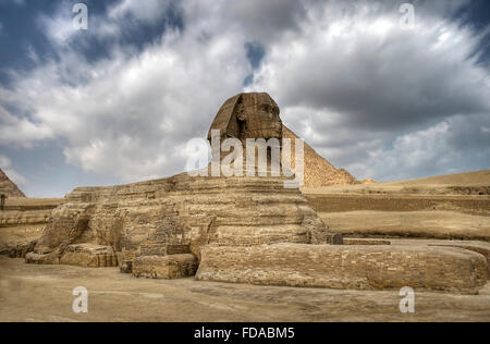 The Sphinx guarding the pyramids on the Giza plateu in Cairo, egypt. Stock Photo