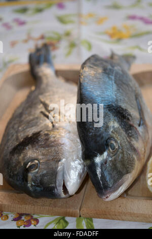 fresh gilthead bream on a wooden cutting board Stock Photo