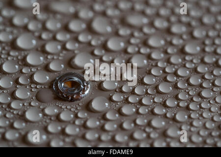 Condensation droplets drops on the inside of a food recycling bin with a rivet Stock Photo