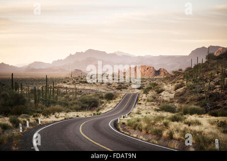 Winding road through the Mexican desert of Baja California Stock Photo