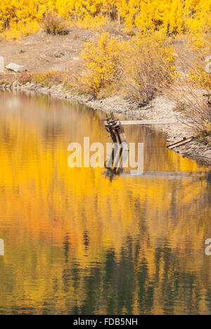 Fall colors reflect in Crystal Lake, Ouray, Colorado Stock Photo