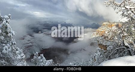 A winter storm leaves a fresh coat of snow as it sweeps along the Canyon Rim Trail near Grandeur Point at the South Rim of Grand Canyon January 7, 2016 Grand Canyon Village, AZ. Stock Photo