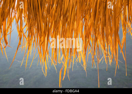 Close up straw background. Texture of straw Stock Photo