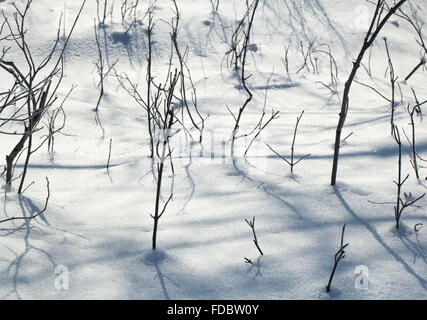 abstract background, snow-covered land closeup winter day Stock Photo