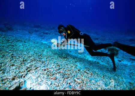 China Hainan province Sansha City Paracel Islands Bombay Reef marine life Stock Photo