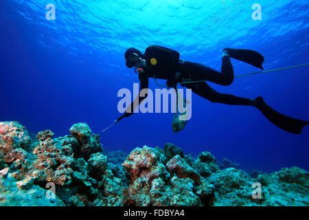 China Hainan province Sansha City Paracel Islands Bombay Reef marine life Stock Photo