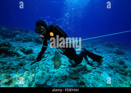 China Hainan province Sansha City Paracel Islands Bombay Reef marine life Stock Photo