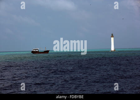 China Hainan province Sansha City Paracel Islands Bombay Reef marine life Stock Photo