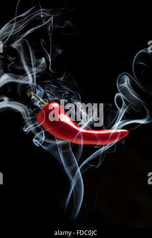Spicy red chili isolated on a dark background with plenty of copy space Stock Photo