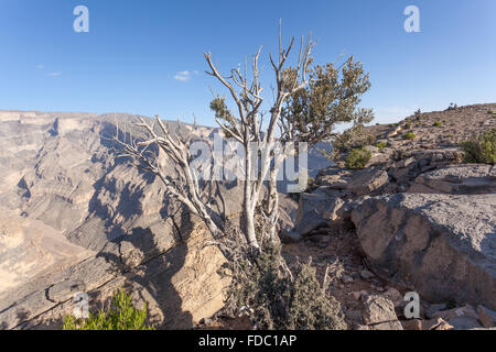 The Grand Canyon in Oman Stock Photo